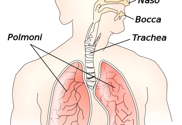 Riabilitazione Respiratoria